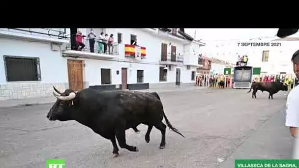 Espagne : le premier lâcher de taureaux dans le pays depuis le début de la pandémie