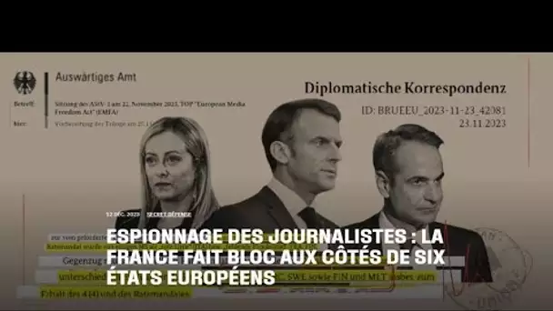 Liberté de la presse dans l'UE: "La France cherche-t-elle à torpiller la protection des sources?"