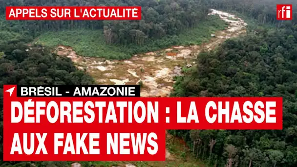 Brésil : la chasse aux « Fake news » sur la déforestation en Amazonie • RFI