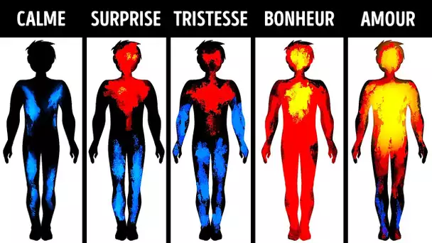 Et si tu Pouvais Voir Tes Émotions (Dans Ton Corps)