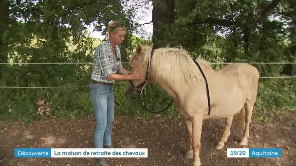 Ehpad'Equus, une maison de retraite pour chevaux en Gironde