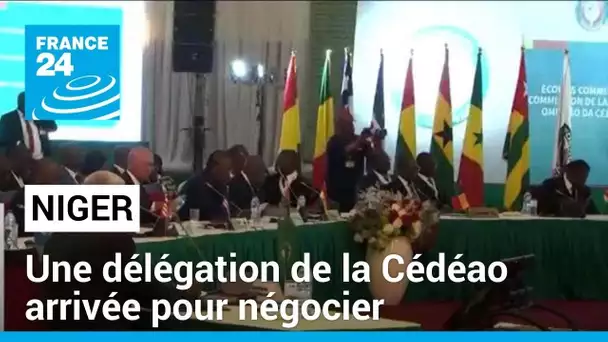 Une délégation de la Cédéao est au Niger pour "négocier" avec les putschistes • FRANCE 24