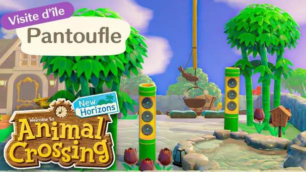 UNE ÎLE "NATURELLE" ?? - Visite de Pantoufle - Animal Crossing : New Horizons