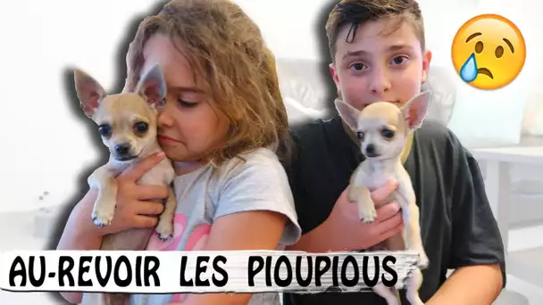 AU-REVOIR LES PIOUPIOUS / Family vlog