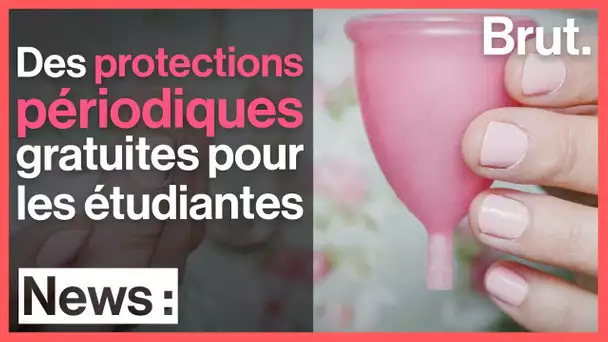 Des protections périodiques gratuites pour les étudiantes dès la rentrée prochaine