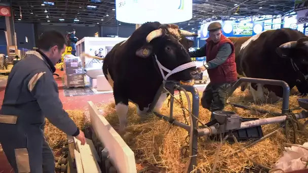 Une année aux côtés des agriculteurs français : le Salon de l'Agriculture à Paris