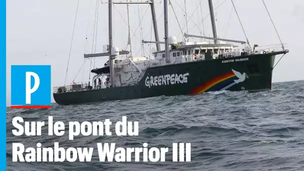 Greenpeace : ils racontent leurs missions à bord du Rainbow Warrior III