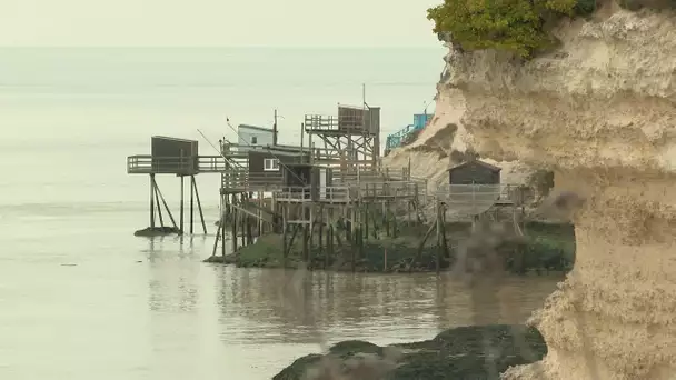 Pendant la période hivernale, les grottes de Regulus se refont une beauté