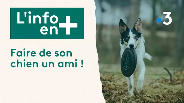 L'info en plus : Faire de son chien un ami