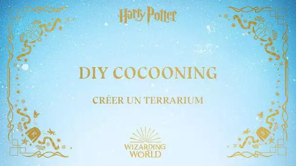 DIY COCOONING - Harry Potter - Créer un terrarium