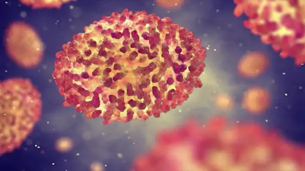 Santé : premiers cas de variole du singe en Charente-Maritime