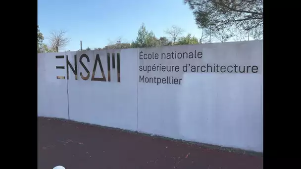 Harcèlements à l'Ecole d'architecture de Montpellier : Bachelot nomme une administratrice provisoire
