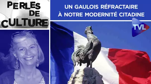 Un Gaulois réfractaire à notre modernité citadine - Perles de Culture n°299 avec Jacques Georges