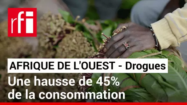 Drogues - Afrique de l’Ouest : consommation en nette hausse • RFI