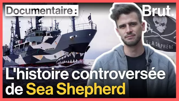 Pirates ou sauveteurs des mers ? L'histoire de Sea Shepherd (avec Hugo du Tatou)