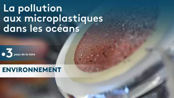Environnement : étude des microplastiques dans l'océan avec le skipper  Fabrice Amedeo