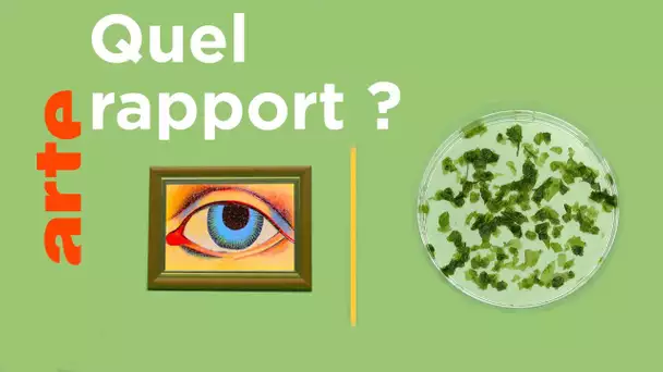 Un œil humain et une algue unicellulaire, c'est quoi le rapport ?  | Reconnexion | ARTE