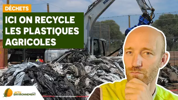 Comment se recyclent les plastiques agricoles ?