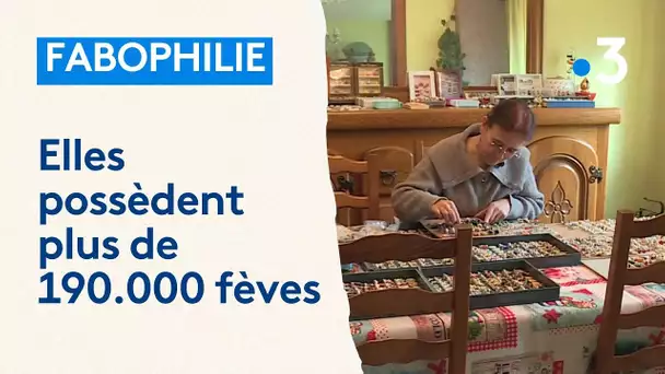 Insolite : elles sont fabophiles et possèdent plus de 190.000 fèves