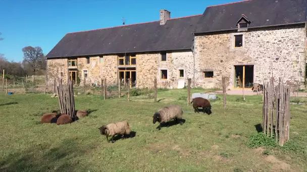 Feuilleton 1/5 La Bigotière. A Epiniac, douze habitants rénovent écologiquement une ancienne ferme