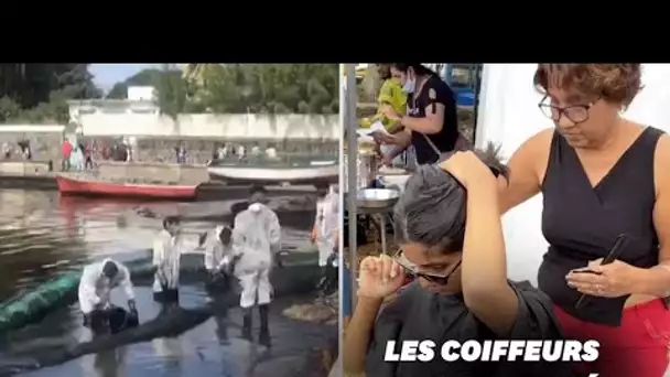 À l'Île Maurice, des dons de cheveux en barrage à la marée noire