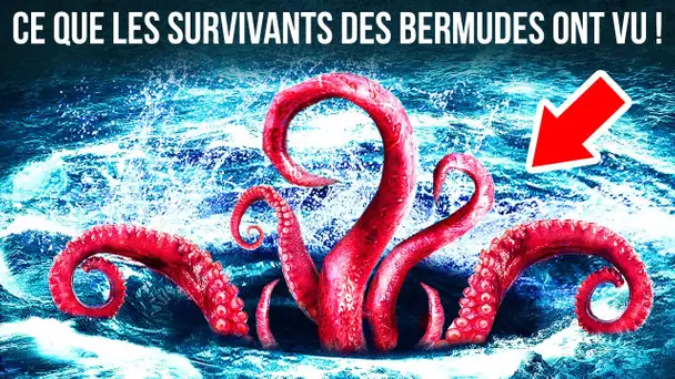 Épaves et monstres marins : L'énigme du triangle des Bermudes dévoilée !