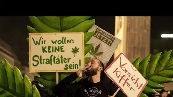 L'Allemagne légalise la consommation de cannabis pour un usage récréatif