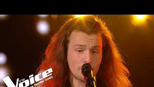 Joe Dassin -  Salut les amoureux | Anton  | The Voice 2019 | KO Audition