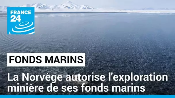 La Norvège autorise l'exploration minière de ses fonds marins • FRANCE 24