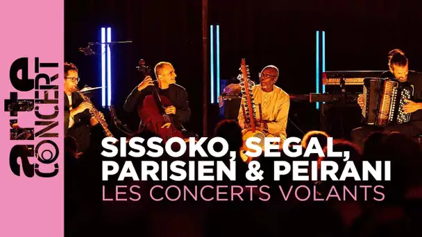 Sissoko, Segal, Parisien & Peirani - Les Concerts Volants -  ARTE Concert