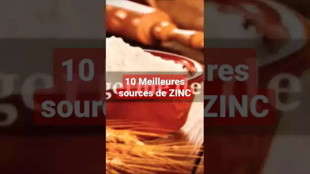 10 Meilleures sources du Zinc