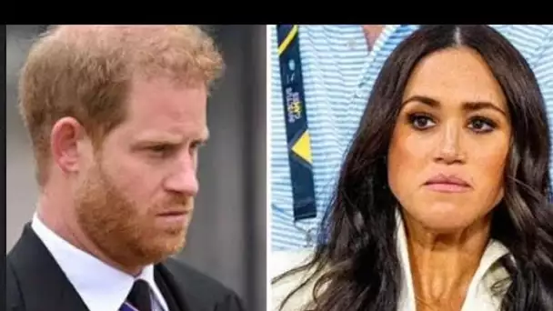 Les fiançailles de Meghan Markle et du prince Harry tombaient au moment idéal en raison d'un facteur