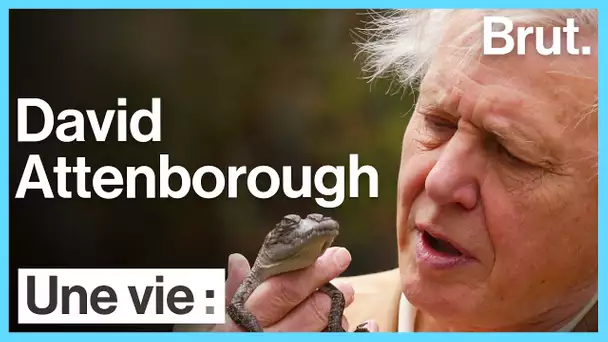 Une vie : Sir David Attenborough