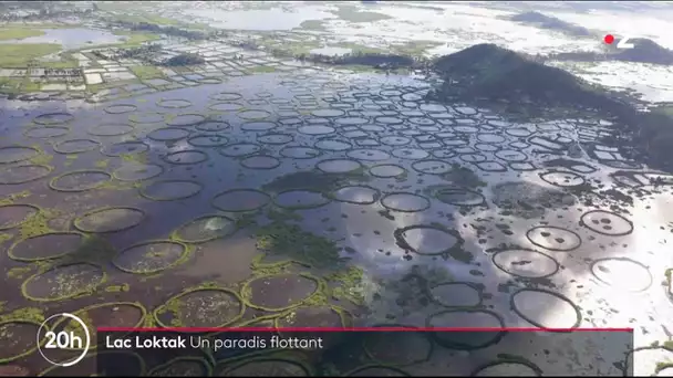 Inde : à la découverte du splendide lac Loktak et ses anneaux de végétation