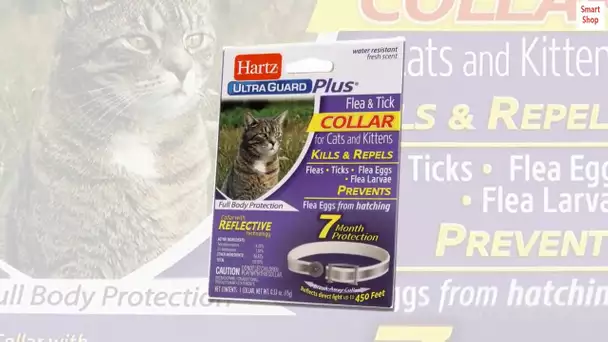 Hartz UltraGuard Plus Reflective Flea & Tick Collar for Cats and Kittens