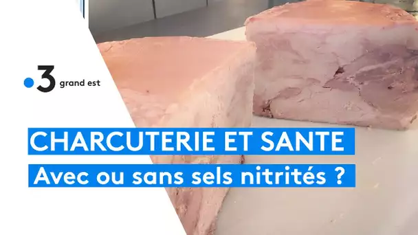 Votre jambon vous le voulez avec ou sans nitrites ?