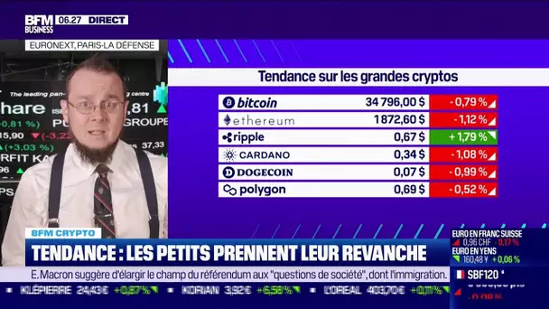 BFM Crypto: Tendance, les petis prennent leur revanche