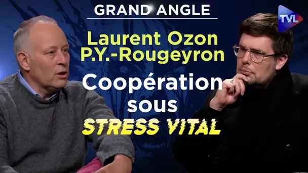 Coopération sous stress vital - Le Grand Angle - Pierre-Yves Rougeyron et Laurent Ozon - TVL