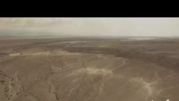 Israël : serres  dans le désert du Néguev