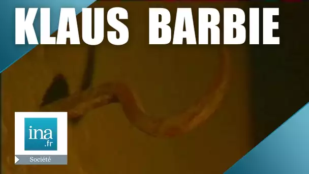 Où étaient Klaus Barbie et la gestapo à Lyon ? | Archive INA