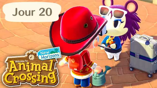 Jour 20 | Le Concours de Mode 👔 | Animal Crossing : New Horizons