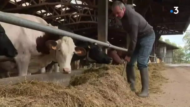 la réaction de producteurs laitiers après l'incendie de Lubrizol