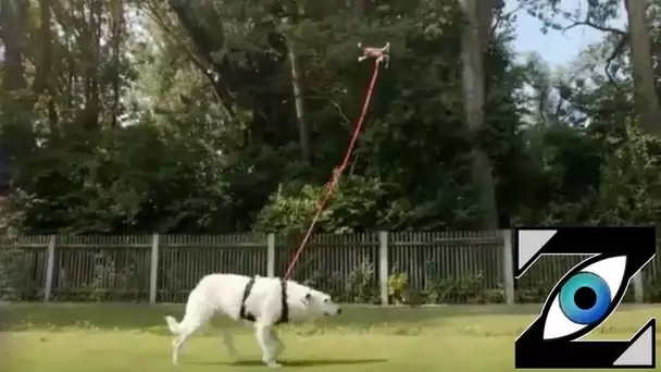 [Zap Net] Le premier drone dog-sitter ! (23/08/21)