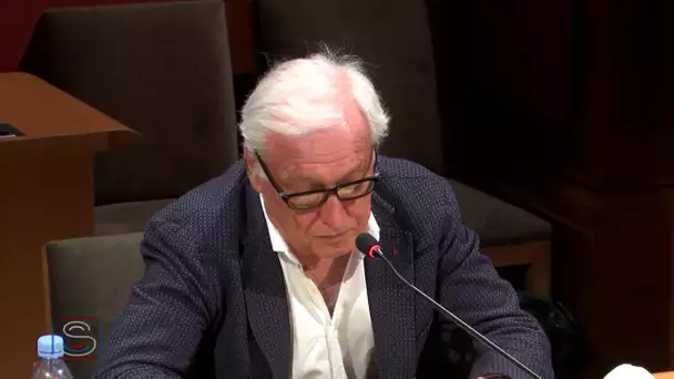 Jean-François Delfraissy, président du conseil scientifique, auditionné au Sénat le 15 avril 2020