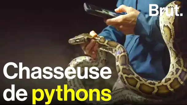 Agente immobilière, elle est devenue chasseuse de pythons