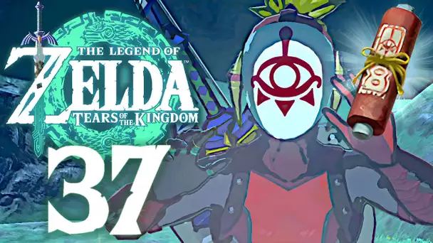 ZELDA TEARS OF THE KINGDOM #37 | LE POUVOIR SECRET DES YIGAS !