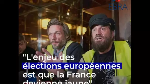 Avec les gilets jaunes, Francis Lalanne se lance dans la course aux européennes