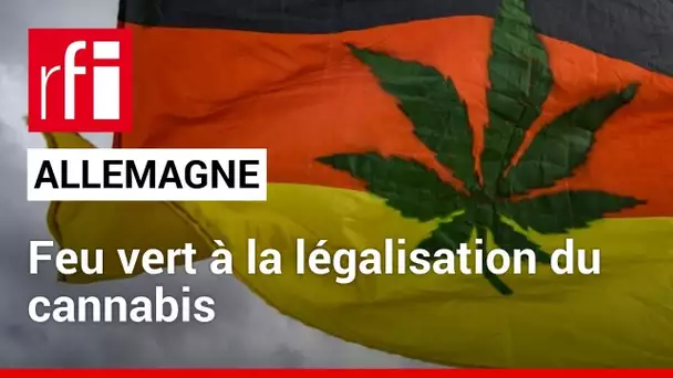 Allemagne : le cannabis récréatif sera légalisé à partir du 1er avril 2024 • RFI