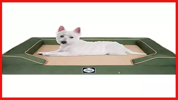 Sealy Dog Bed Lux Elite Pet Dog Bed, Quad Layer Technology with Memory Foam, Orthopedic, Cooling