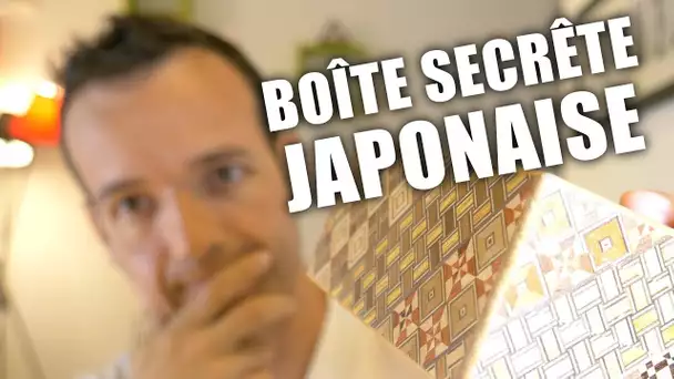 Les boites secrètes japonaises (12 moves)
